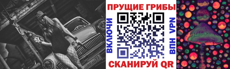 магазин  наркотиков  omg   Галлюциногенные грибы Psilocybine cubensis  Славск 